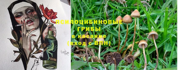 MDMA Premium VHQ Беломорск
