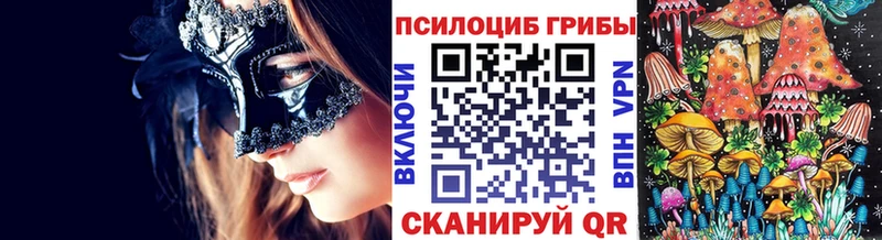 Галлюциногенные грибы Psilocybine cubensis продажа наркотиков Пестово